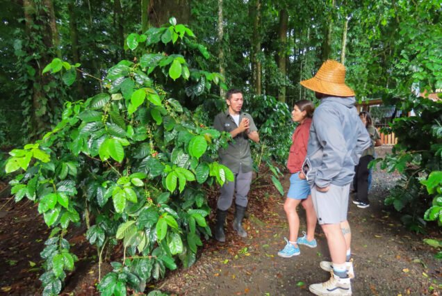 Coffee, Chocolate and Sugar Cane Tour